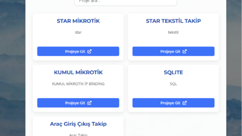 Yazılım, Web, Sistem Güvenliği ve Karmaşık Teknik Çözümler
