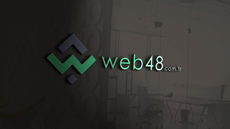 WEB48 / Logo Tasarımı