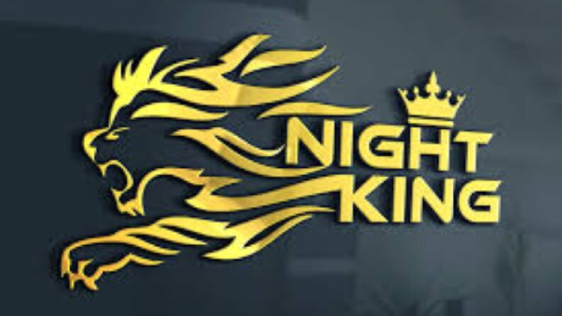 Night King İnternet Kafe