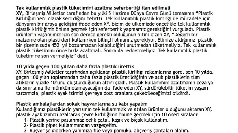 Basın Bülteni Örneği