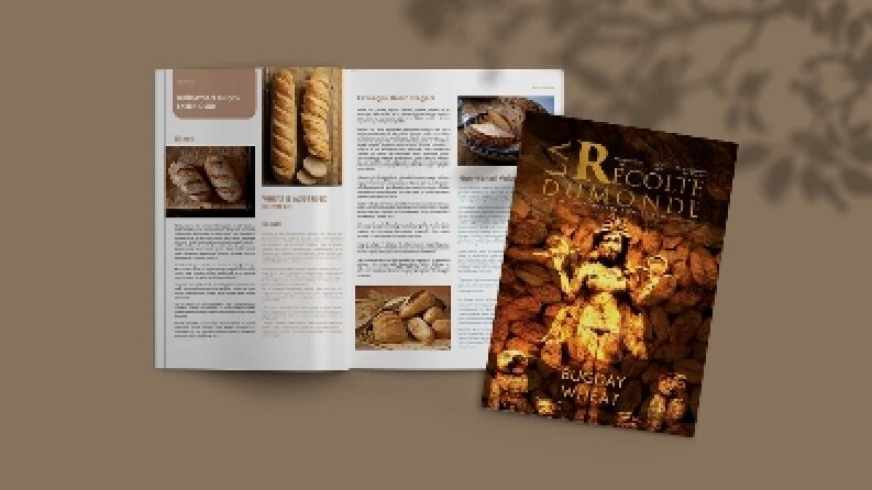 Recolte Dergisi Mizanpaj ve Kapak Tasarım