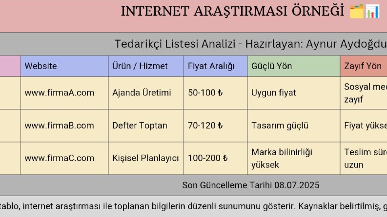 İnternet Araştırması | Tedarikçi Karşılaştırma Tablosu