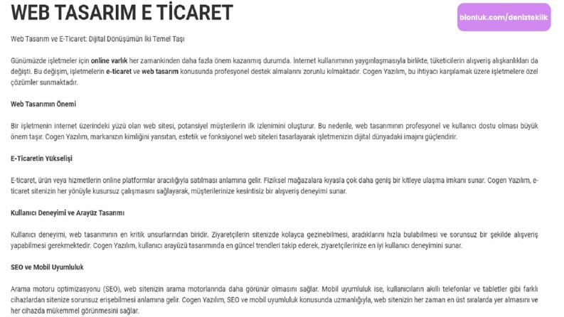 Web Tasarım Ve E-Ticaret Başlıklı Makalem