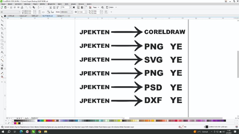 jpekten vectorele hızlıca işinizi yapabilirim