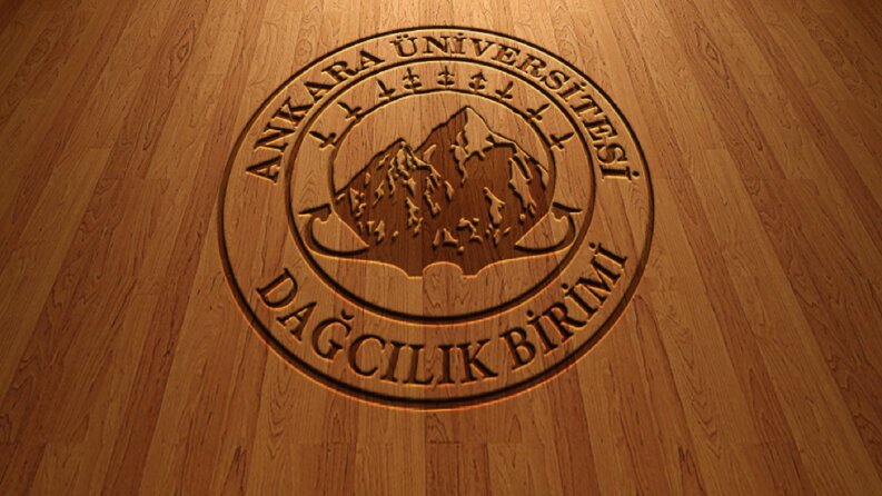 Logo Örnekleri