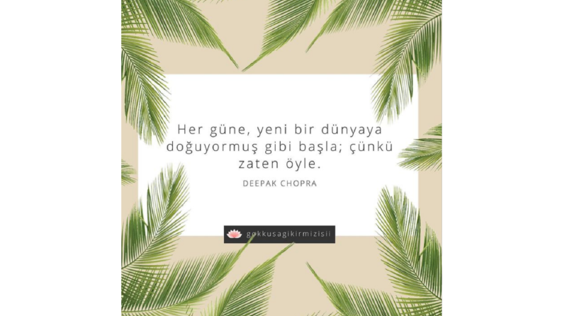 Post tasarımı
