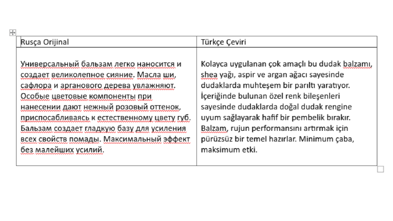 Rusça-Türkçe Çevirisi