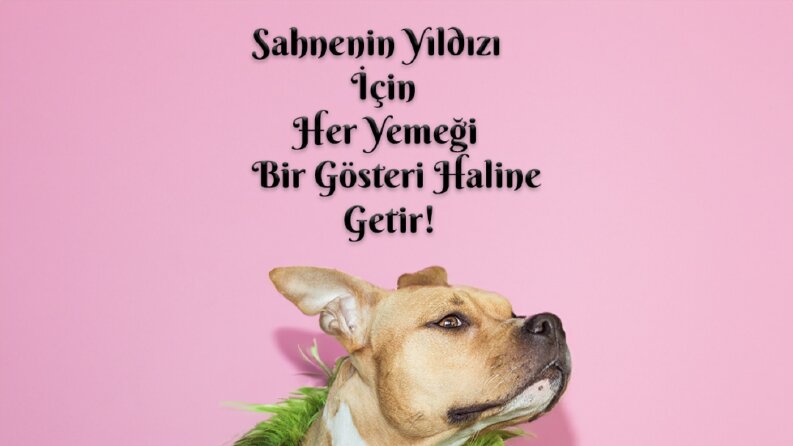 Konsept Post Tasarımı