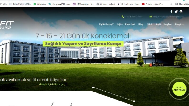 mobil uyumlu etkilyeci web siteleri