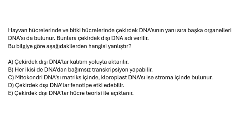 Soru Yazımı