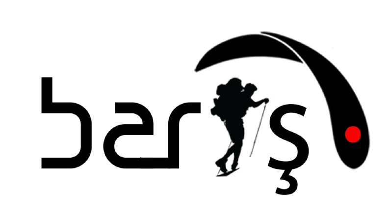 İsminize özel logo tasarlaya bilirim.