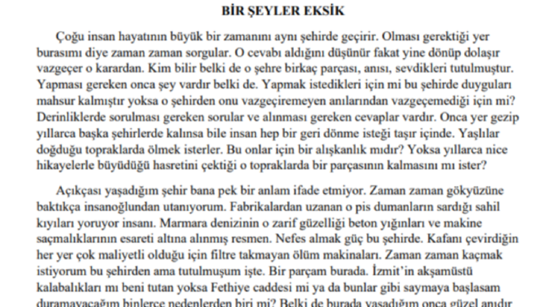 Metin Yazarlığı