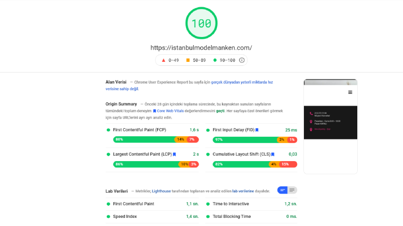 istanbulmodelmanken.com Litespeed Optimizasyonu