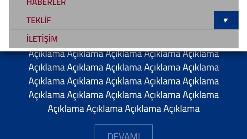 Web sitesi yapabilirim