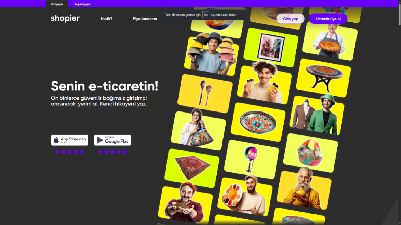 Profesyonel ve özel web site tasarımı