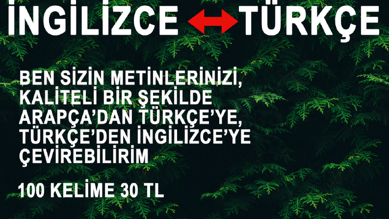 ben sizin ingilizce metinlerinizi çevirebilirim