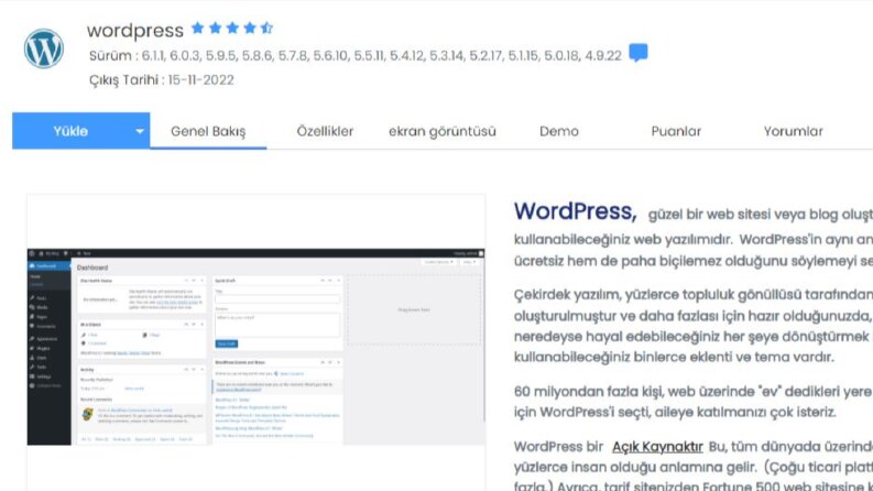 Ben WordPress Sitelerinizi Sıfırdan Tasarlayabilirim !