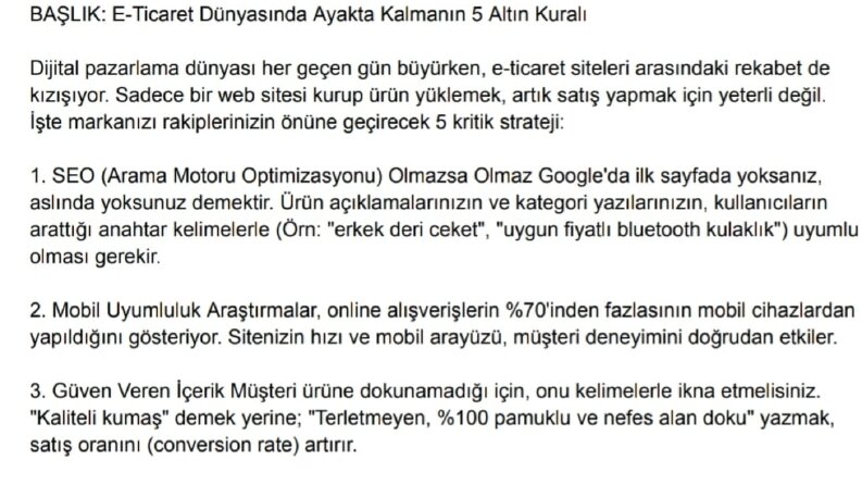 SEO Uyumlu E-Ticaret Blog Yazısı Örneği