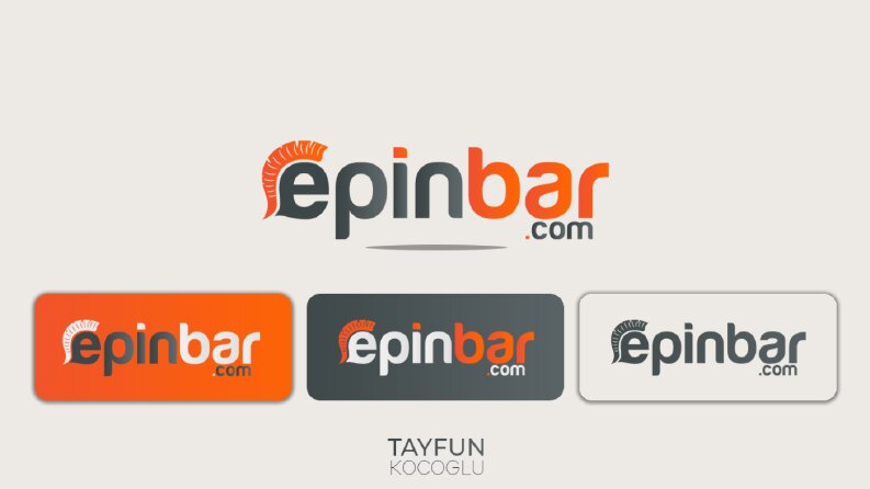 Epinbar.com - Logo Tasarımı