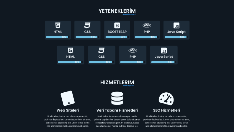 Portfolyo Tasarımı