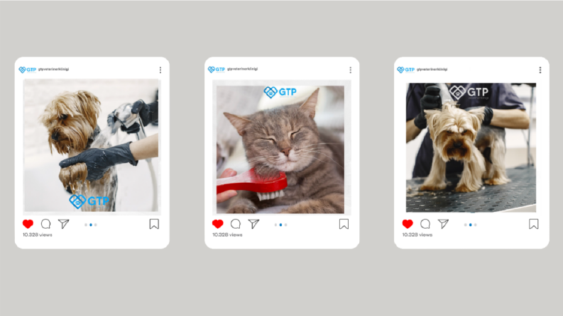  Veteriner & Pet Klinikleri için Instagram Tasarımı