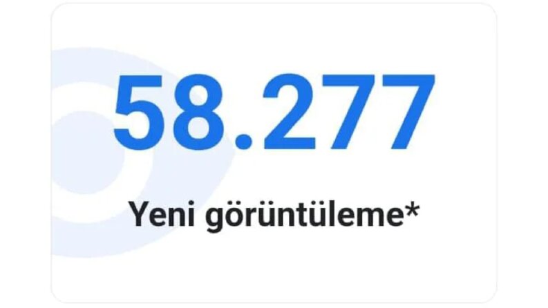7 Seviye Yerel Rehber