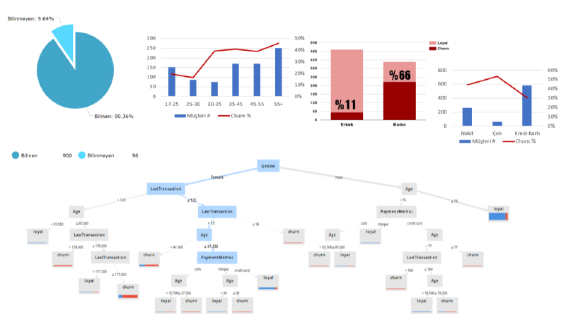 Visualization