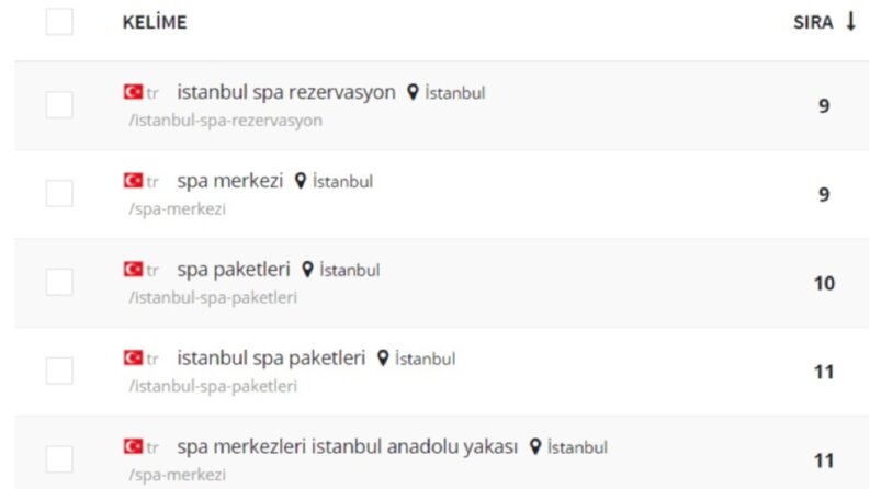 SPA Merkezi - SEO Çalışması