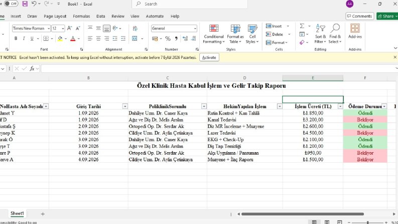 Klinik Hasta Kabul ve Gelir Takip Tablosu