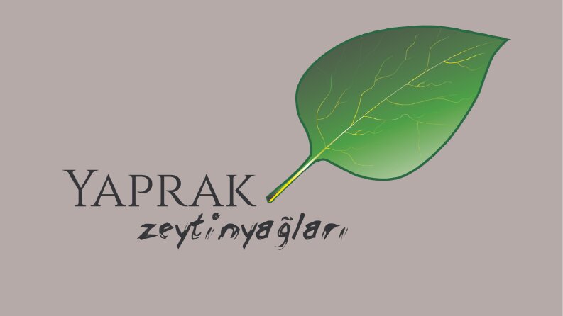 Yaprak Zeytinyağları - Yaratıcı logo tasarımı - 2024
