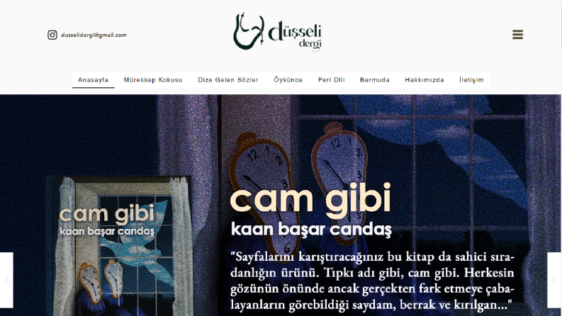 www.dusselidergi.org - Blog Sitesi