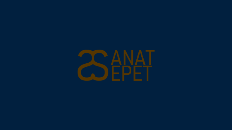 SanatSepet