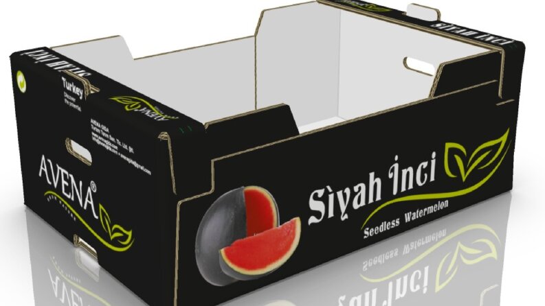 Avena Karpuz Kolileri Tasarımları