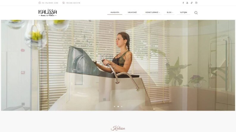 Güzellik & Wellness Sitesi ve SEO