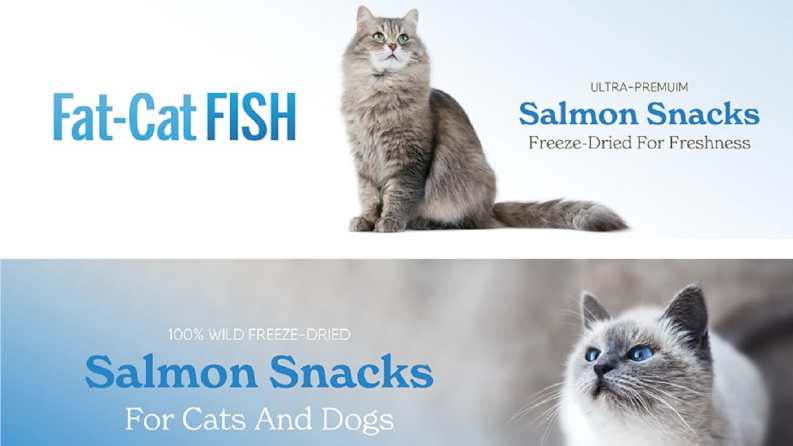 Amazon ve E-ticaret Tasarımları