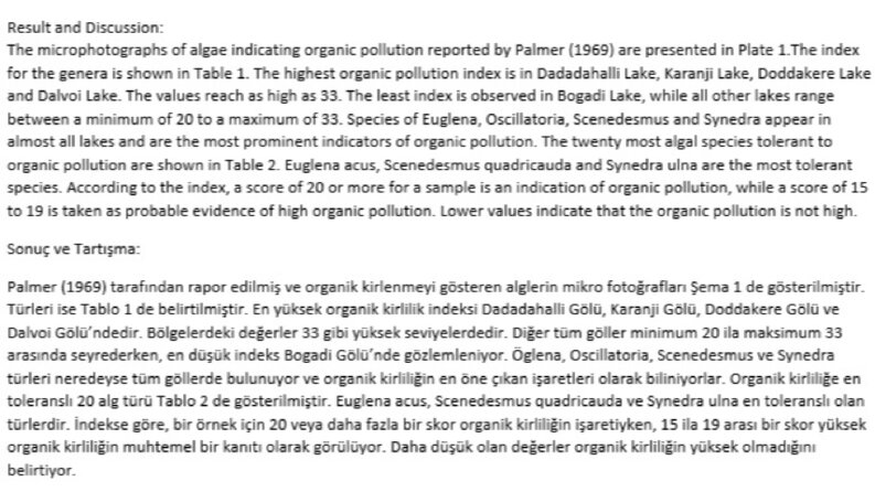 İngilizce-Türkçe Makale