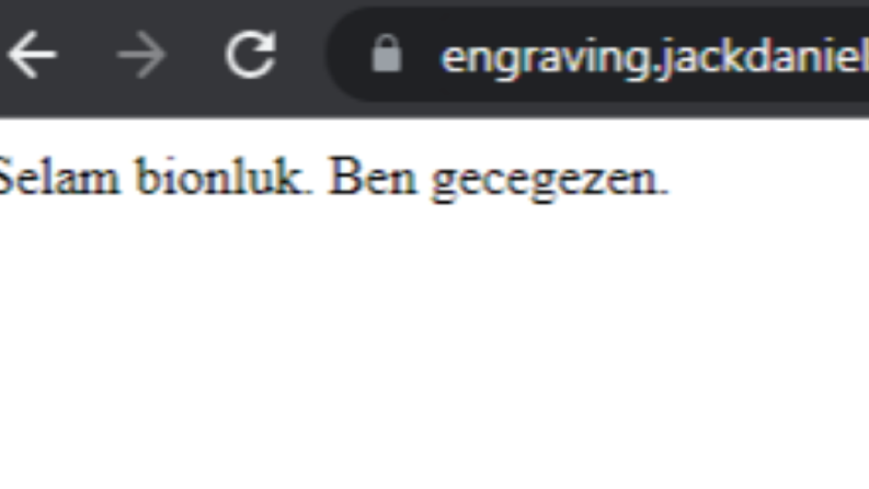 Siber Güvenlik Testi