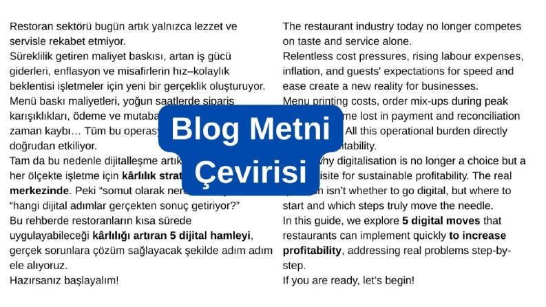 Çeviri Örnekleri