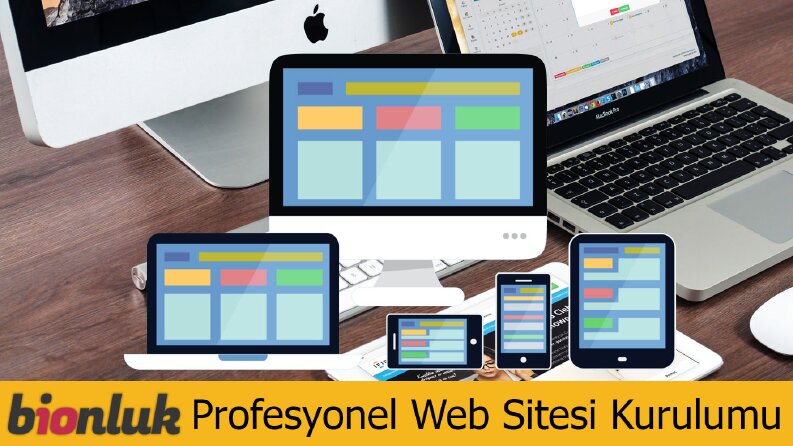 Profesyonel Web Sitesi Kurulumu