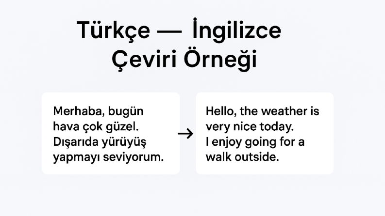 Profesyonel Türkçe – İngilizce Çeviri Örneği