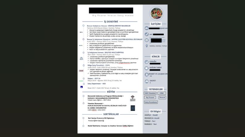 İnfografik Yeni Nesil CV örneği