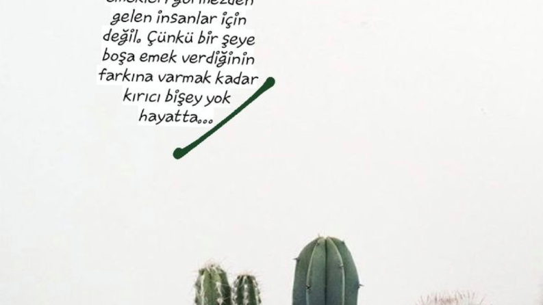 Ödüllü yazar