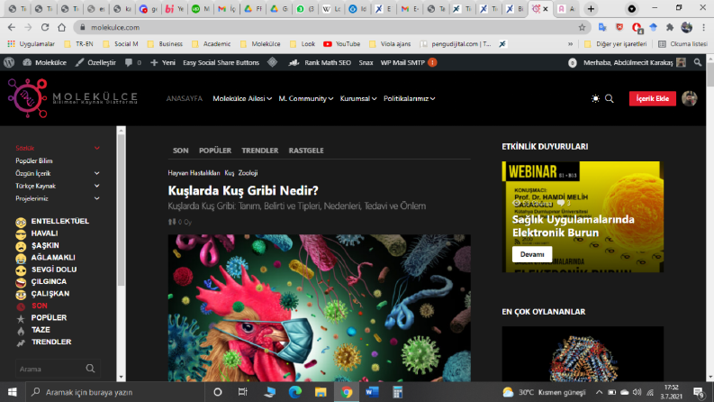 Anahtar Teslim Web Sitesi