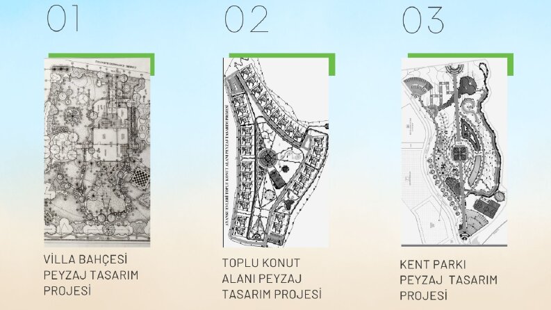 Peyzaj tasarım projesi