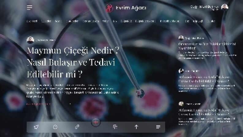 Web design ui/ux