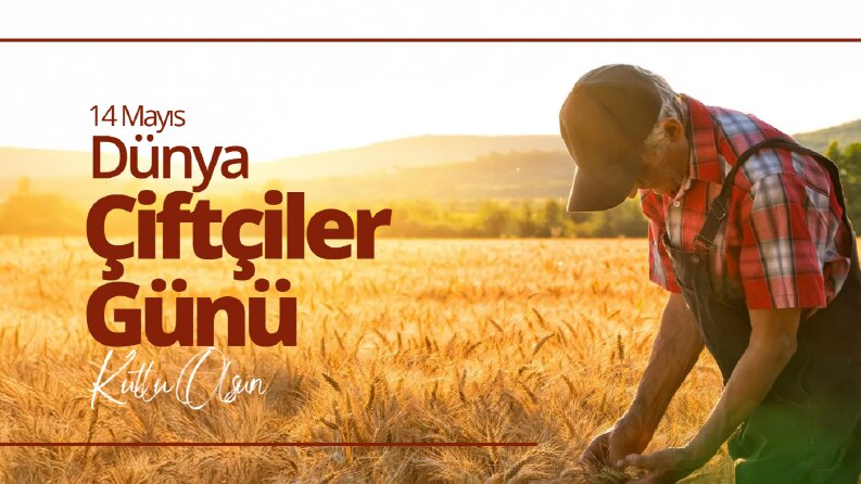 Sosyal medya tasarımları