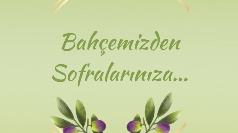 Zytin- Instagram Gönderisi