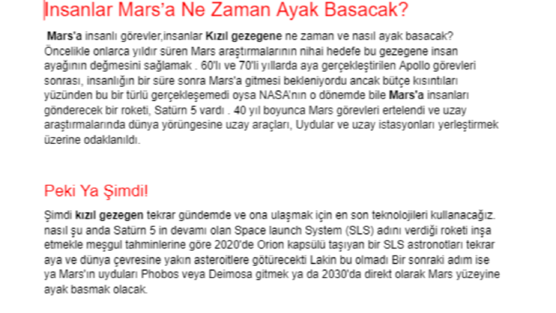 Örnek Türkçe makale