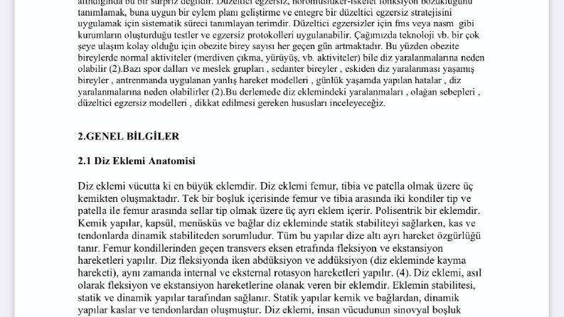 İçerik Yazarlığı