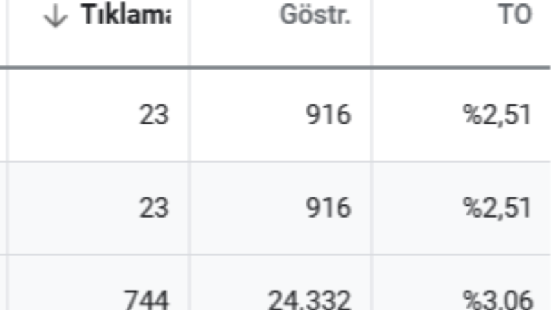 Google Ads Reklam Yönetimi
